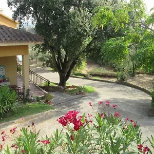 https://bb-coldulivo.in-sardinia.net